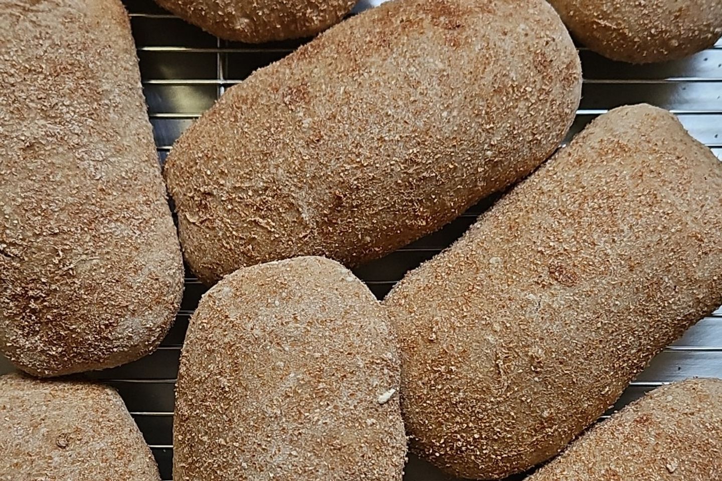 شيباتا  بر بالنخالة - ٦ حبات