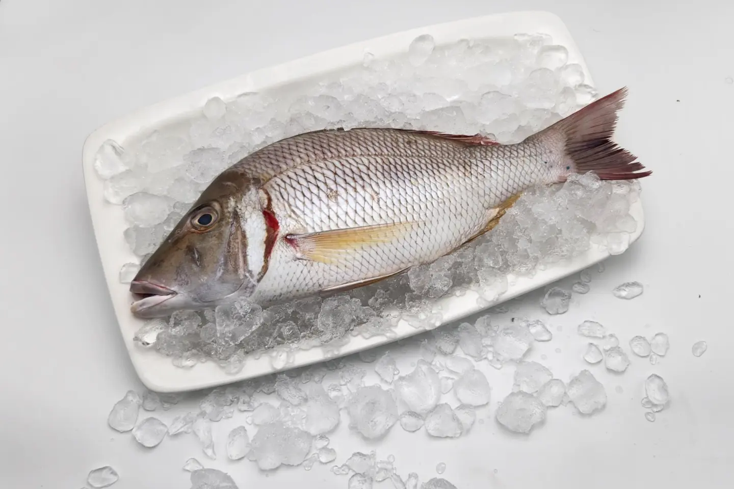 شعور مشوي 500 جرام