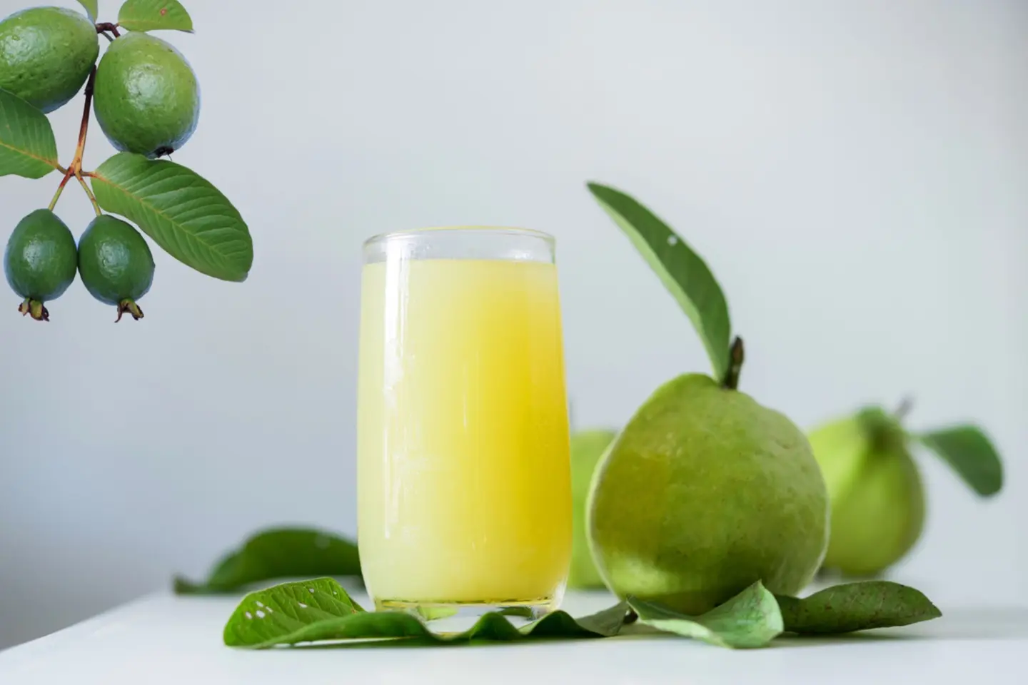 Guava - Small