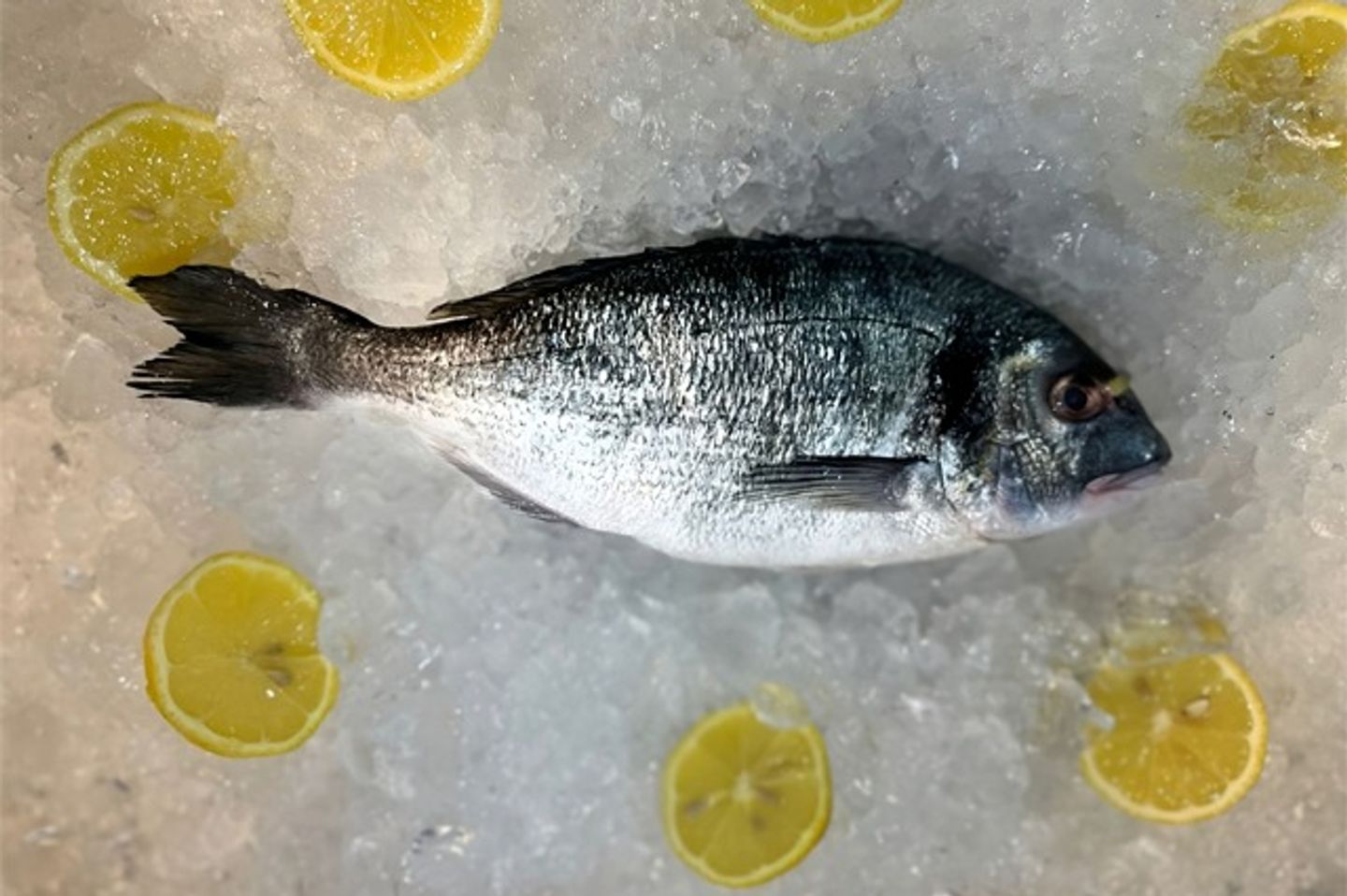 Raw Denis - ½ Kg