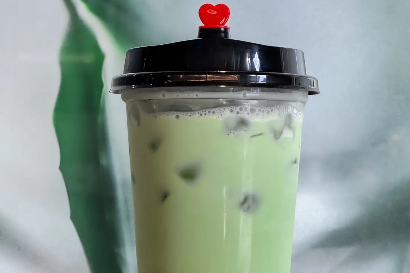 ماتشا - كرمل بندق