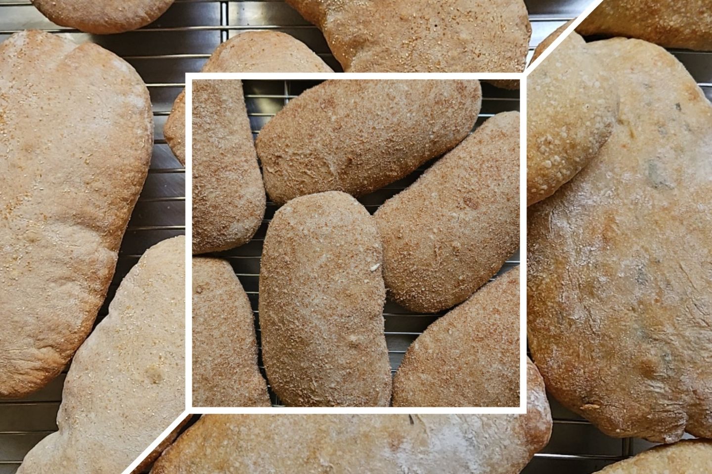 شيباتا مشكل - ٦ حبات