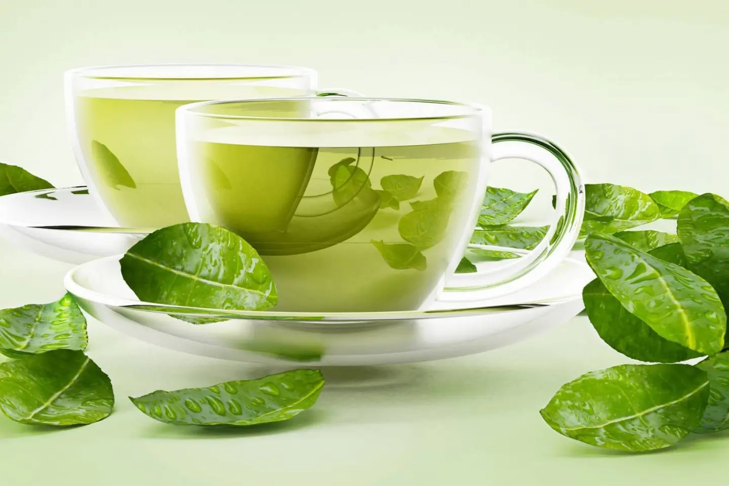 شاي أخضر - وسط