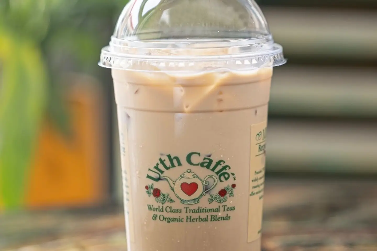 Spanish Latte On Ice - Medium