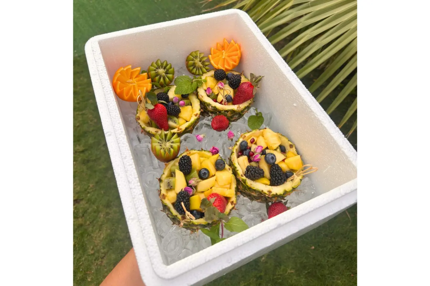 Pineapple Paradise - 1 Pic