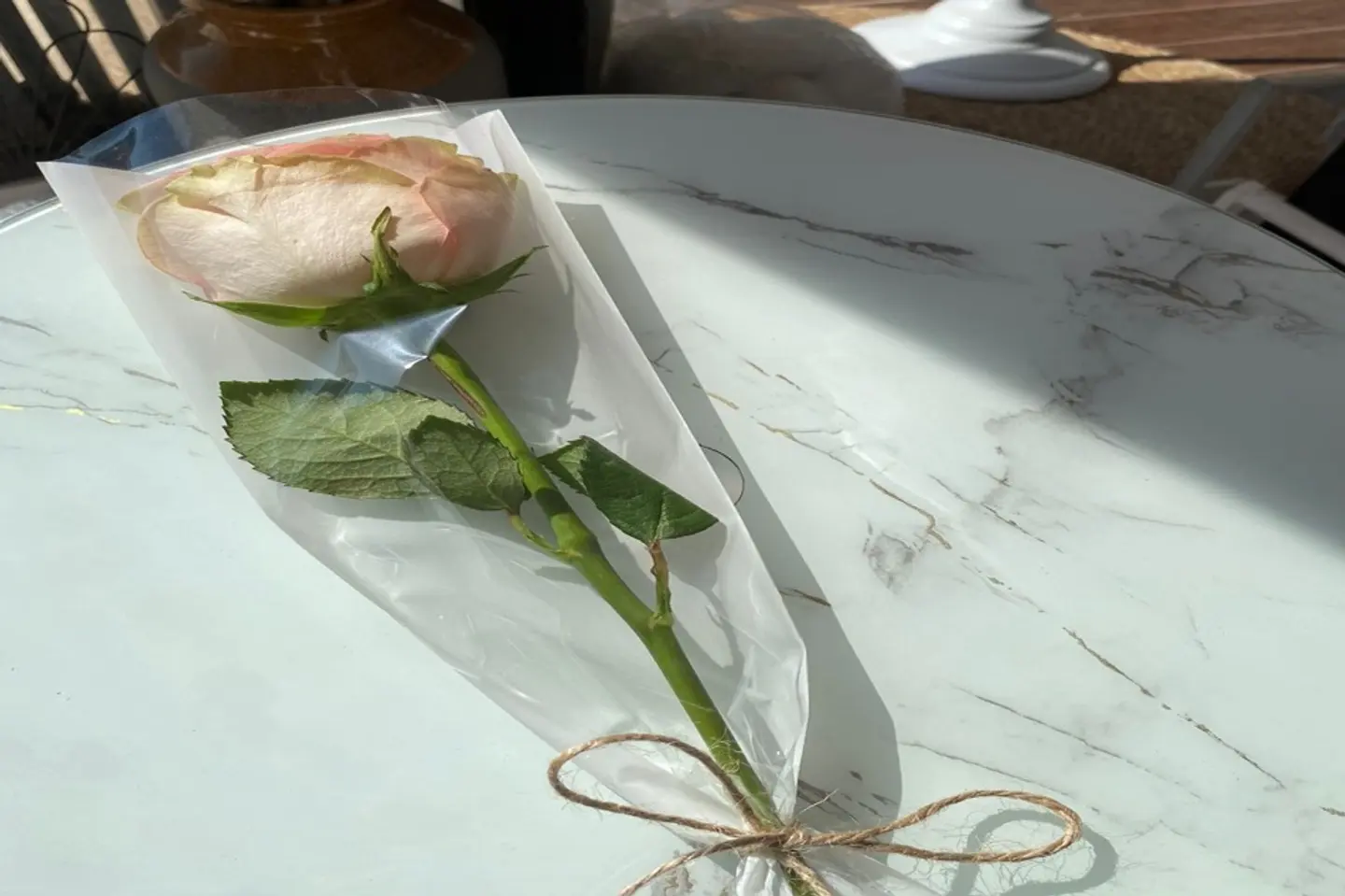 Rose With White Packaging - Orange