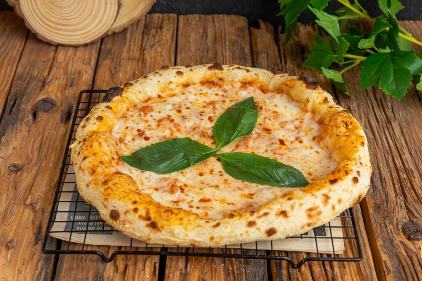 Margarita Pizza - Medium