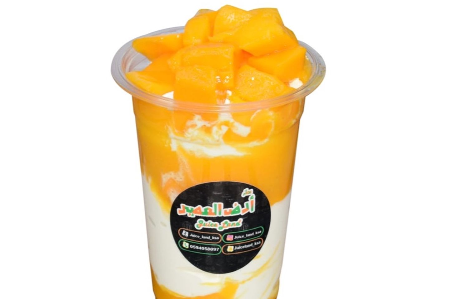Box Philippine Manga Ice Cream - Medium