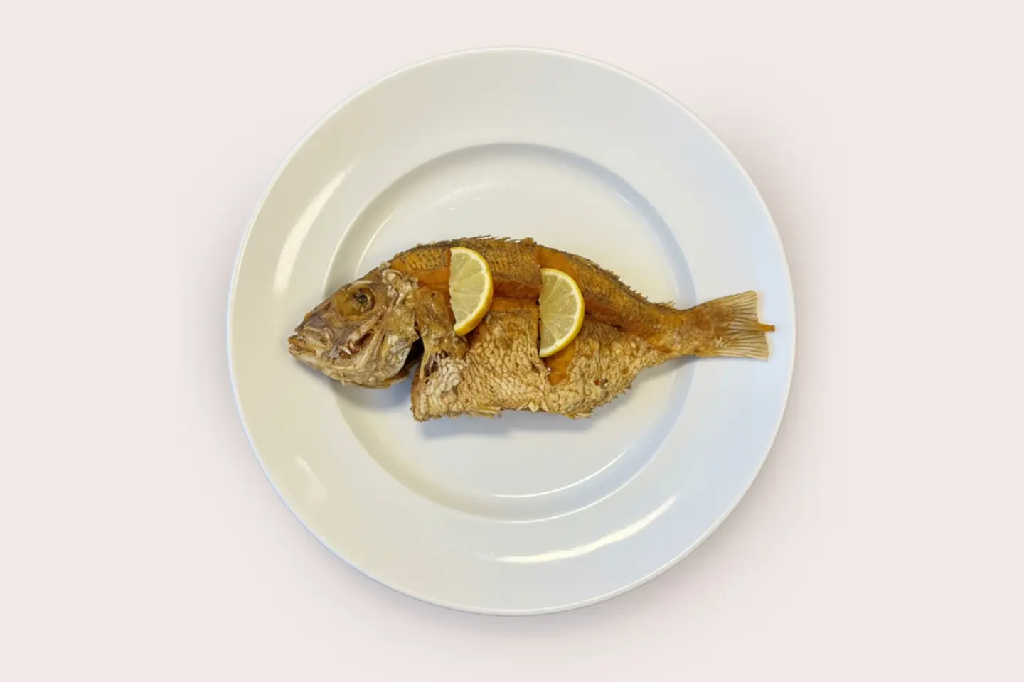 شعور قمر مقلي - نص كيلو