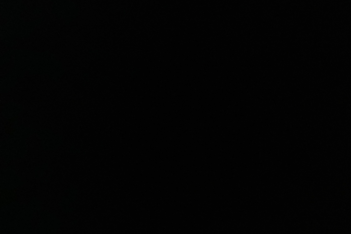 سبانخ - عادي