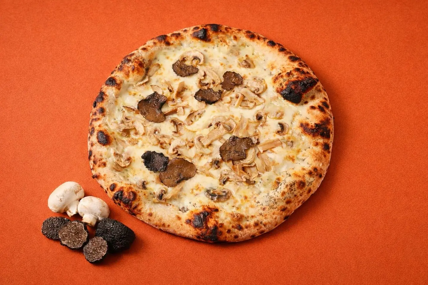Truffle Pizza - Medium
