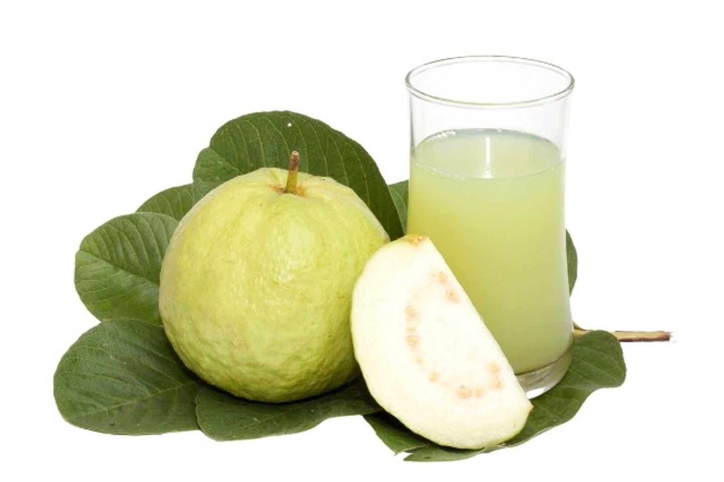 Guava - Medium Cup