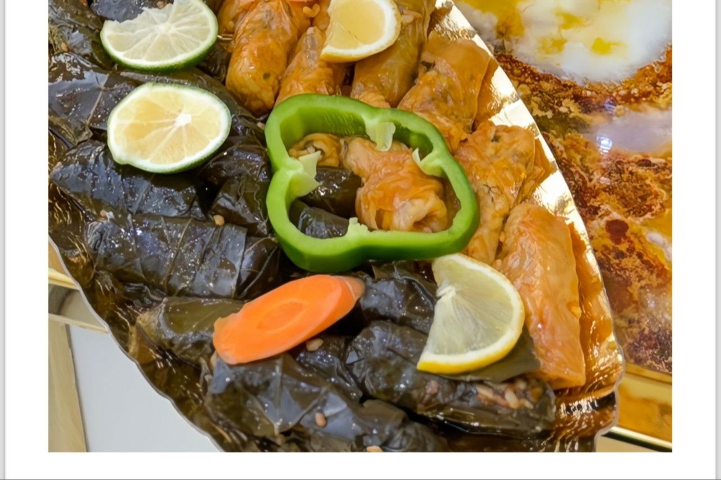 ورق عنب + ملفوف - صغير