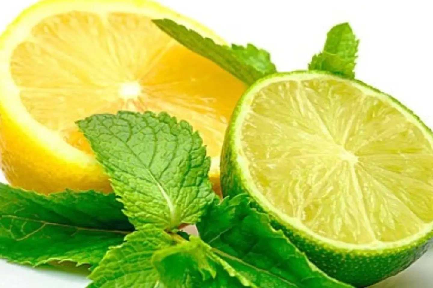 Lemon With Mint - Small