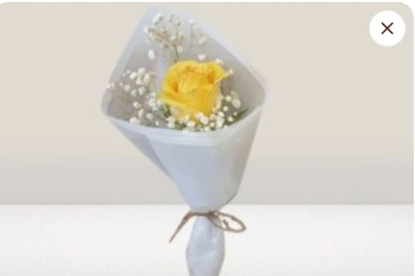 وردة واحده مع براعم ملفوفه باللون الأبيض - ورده جوري وردي مع البراعم