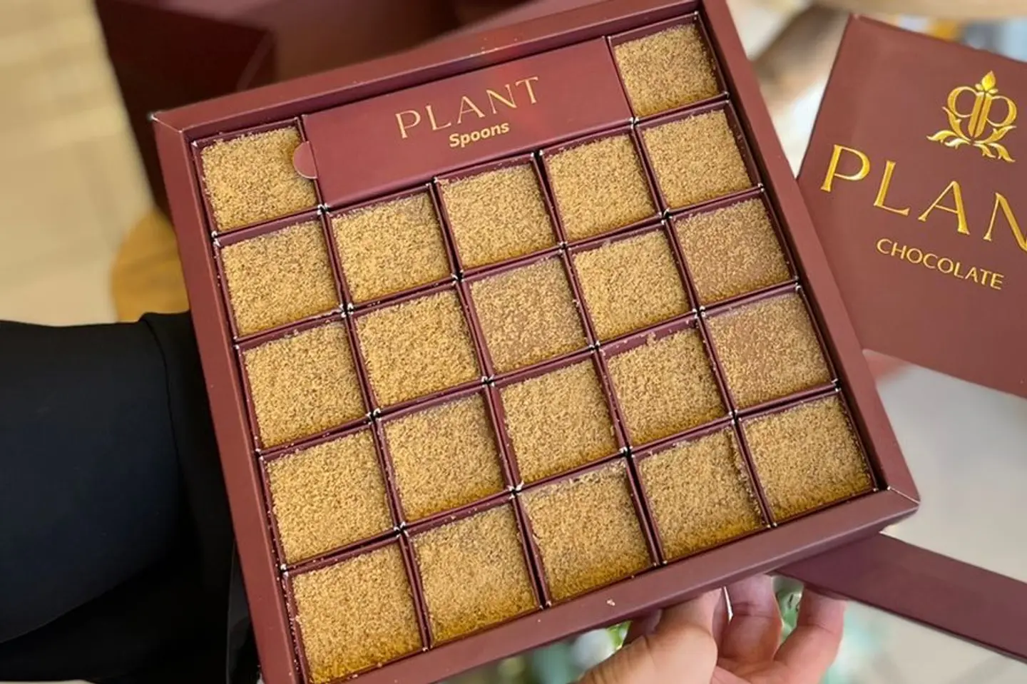 Latte Plant  - Big 22 Box