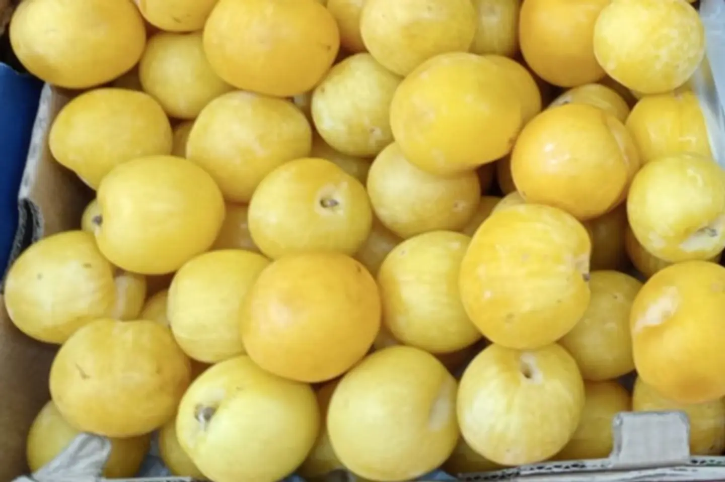 برقوق أصفر بخاري - برقوق أصفر بخاري طبق