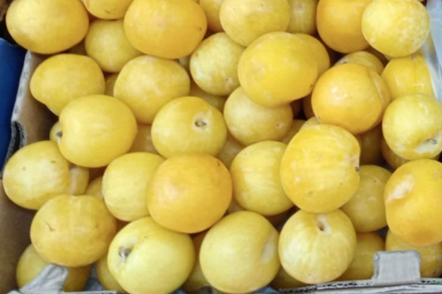 برقوق أصفر بخاري - 500 جرام