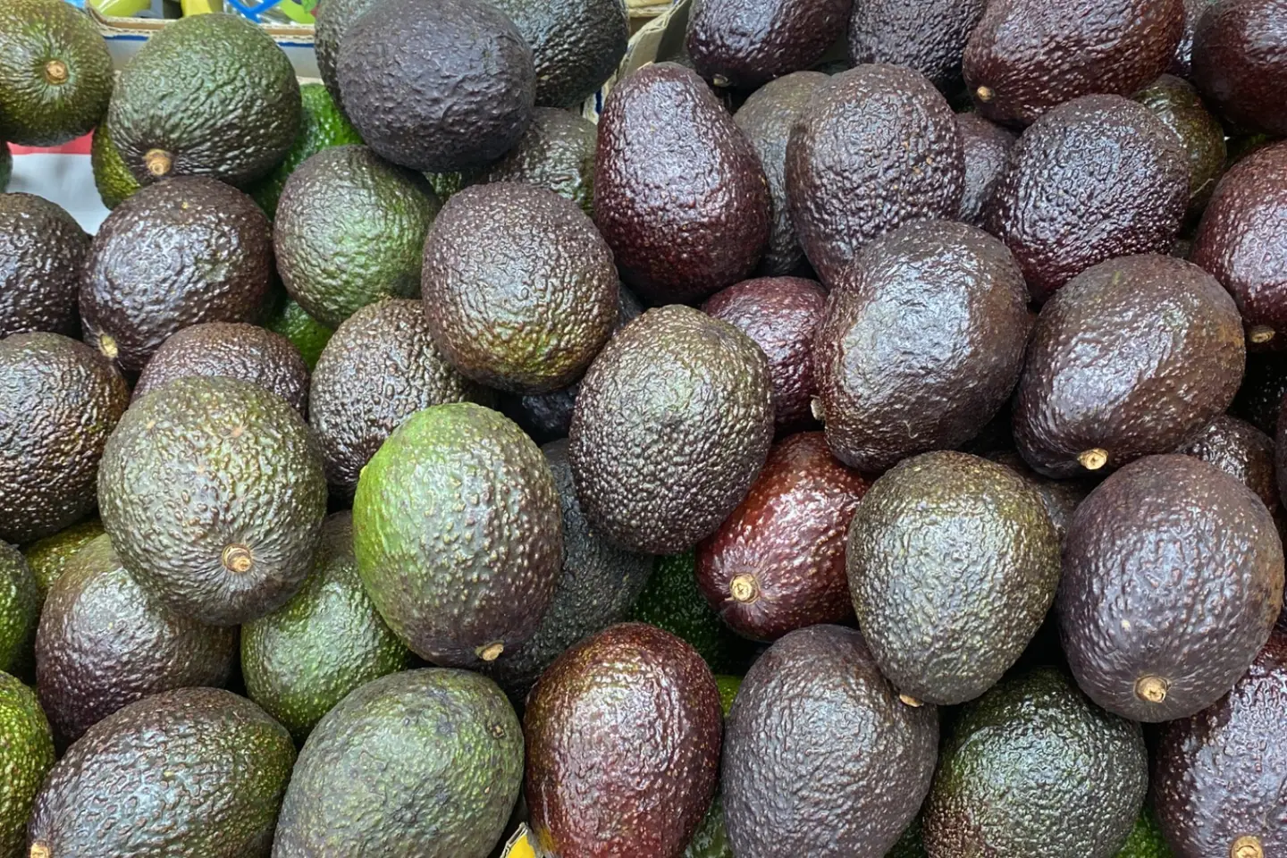 أفوكادو - 500 جرام