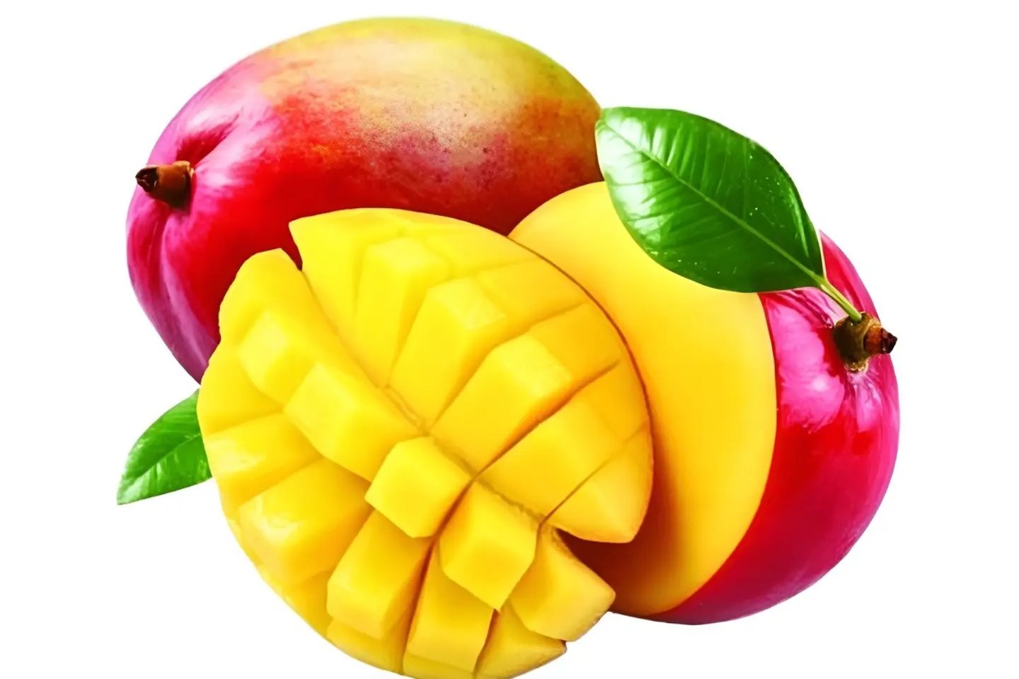 مانجو - صغير