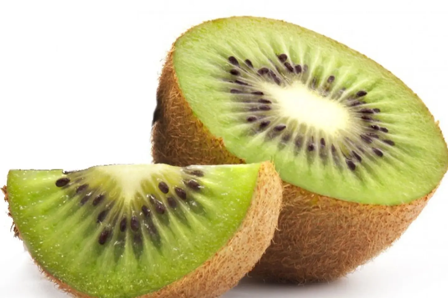 Kiwi - Small