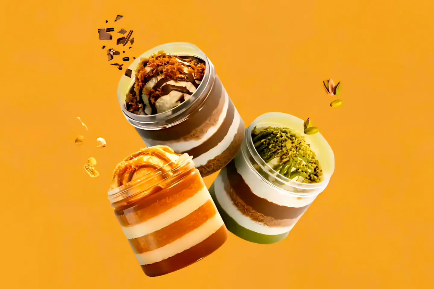 سيجنتشر - سيجنتشر نيوتلا