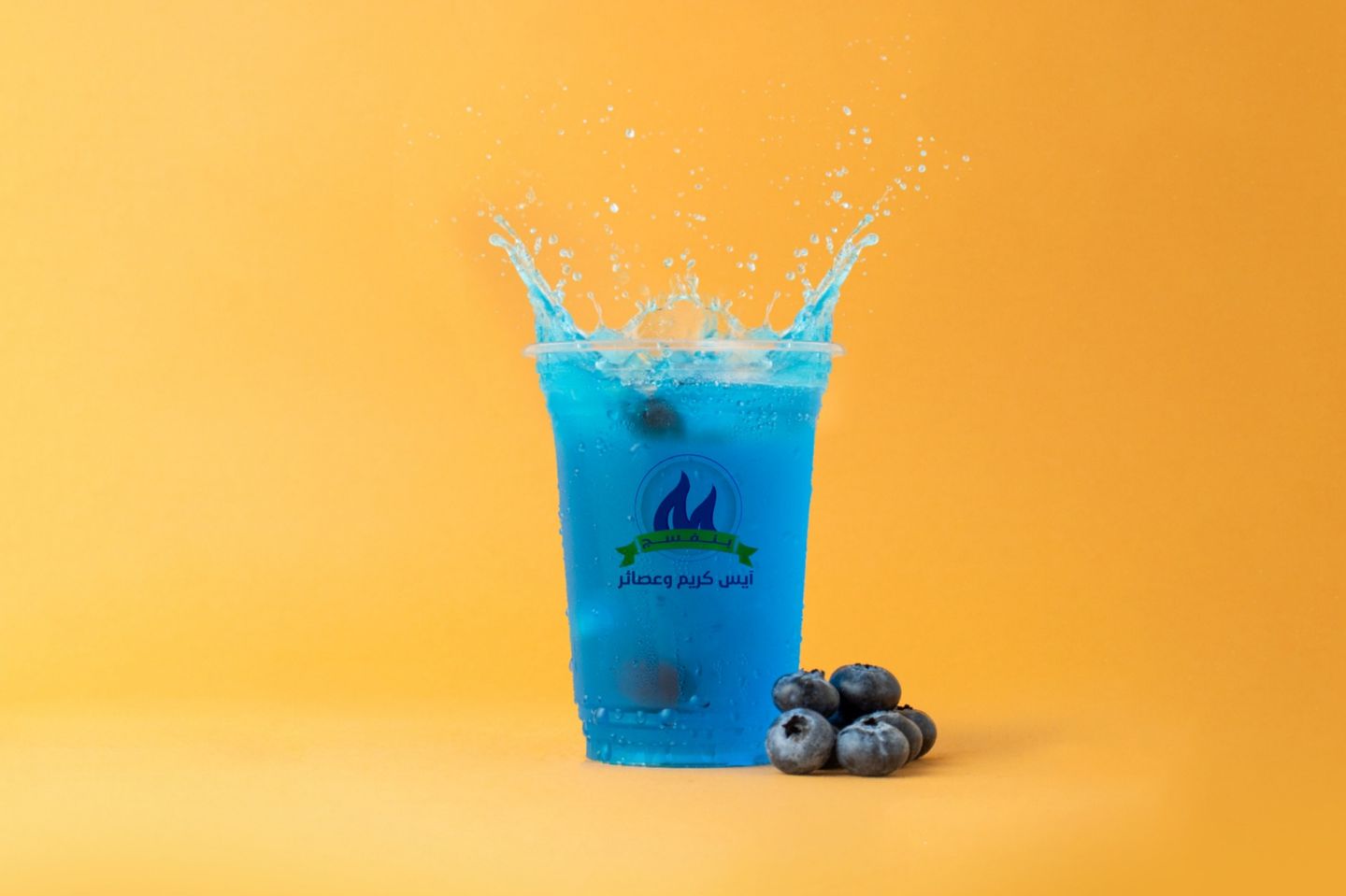 Slash Blueberry  - Small