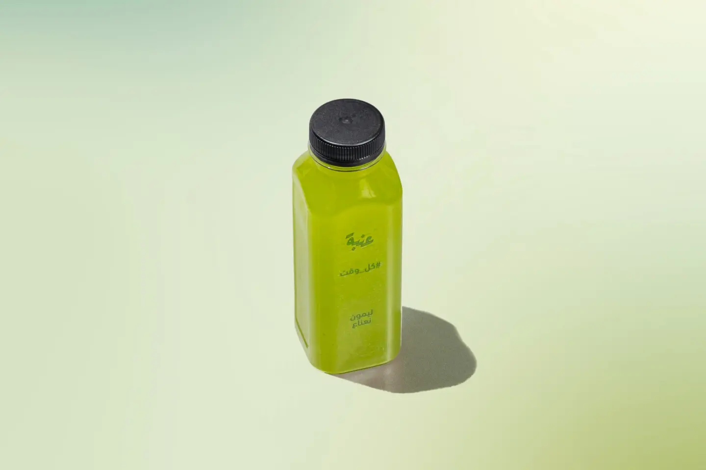 Lemon Mint Juice - Small