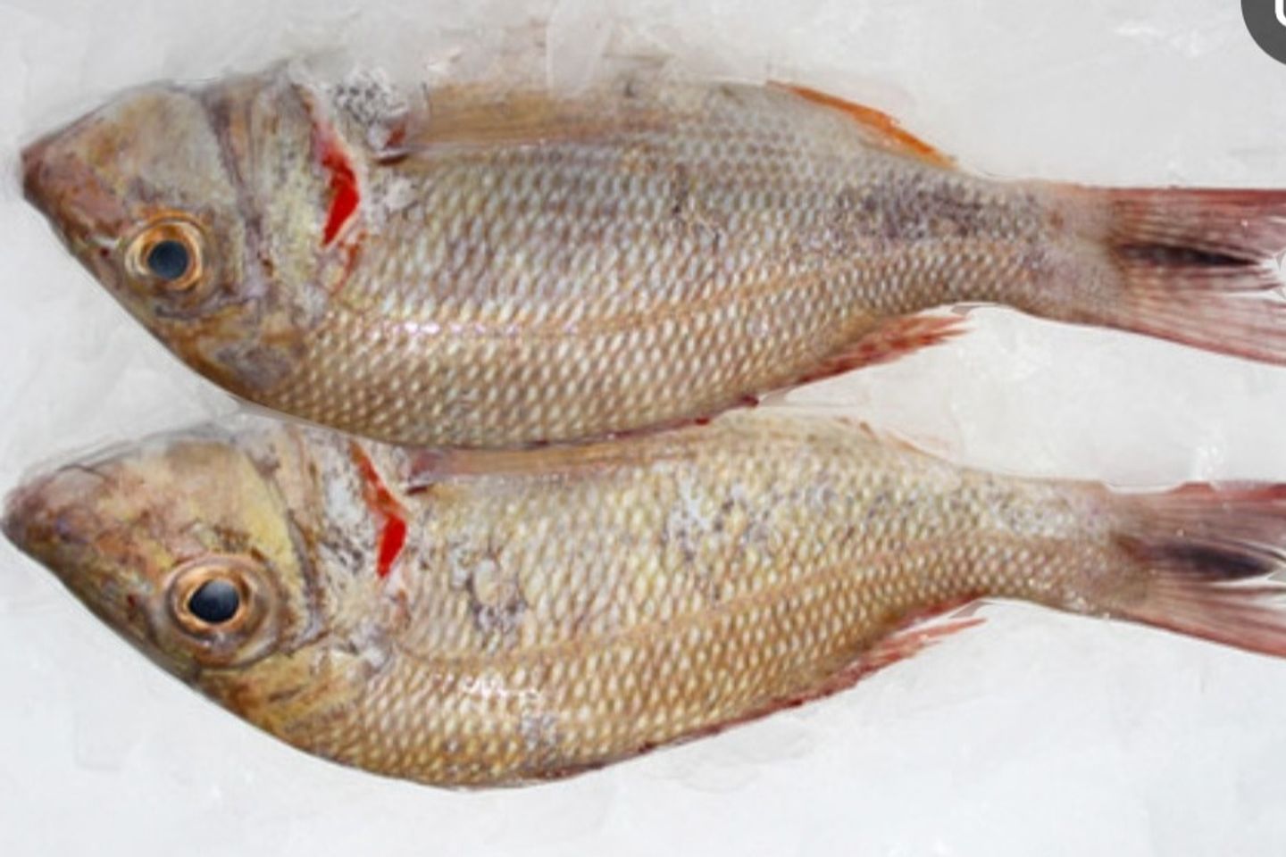 Shour - 1 Kg