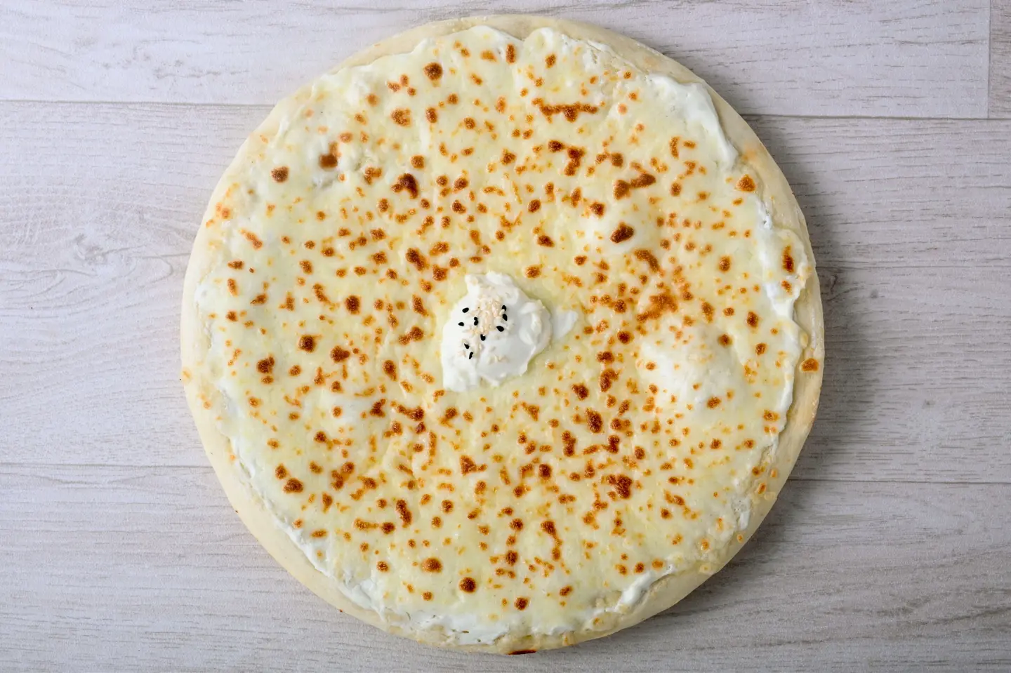 عش البلبل سادة - عش البلبل سادة-صغير