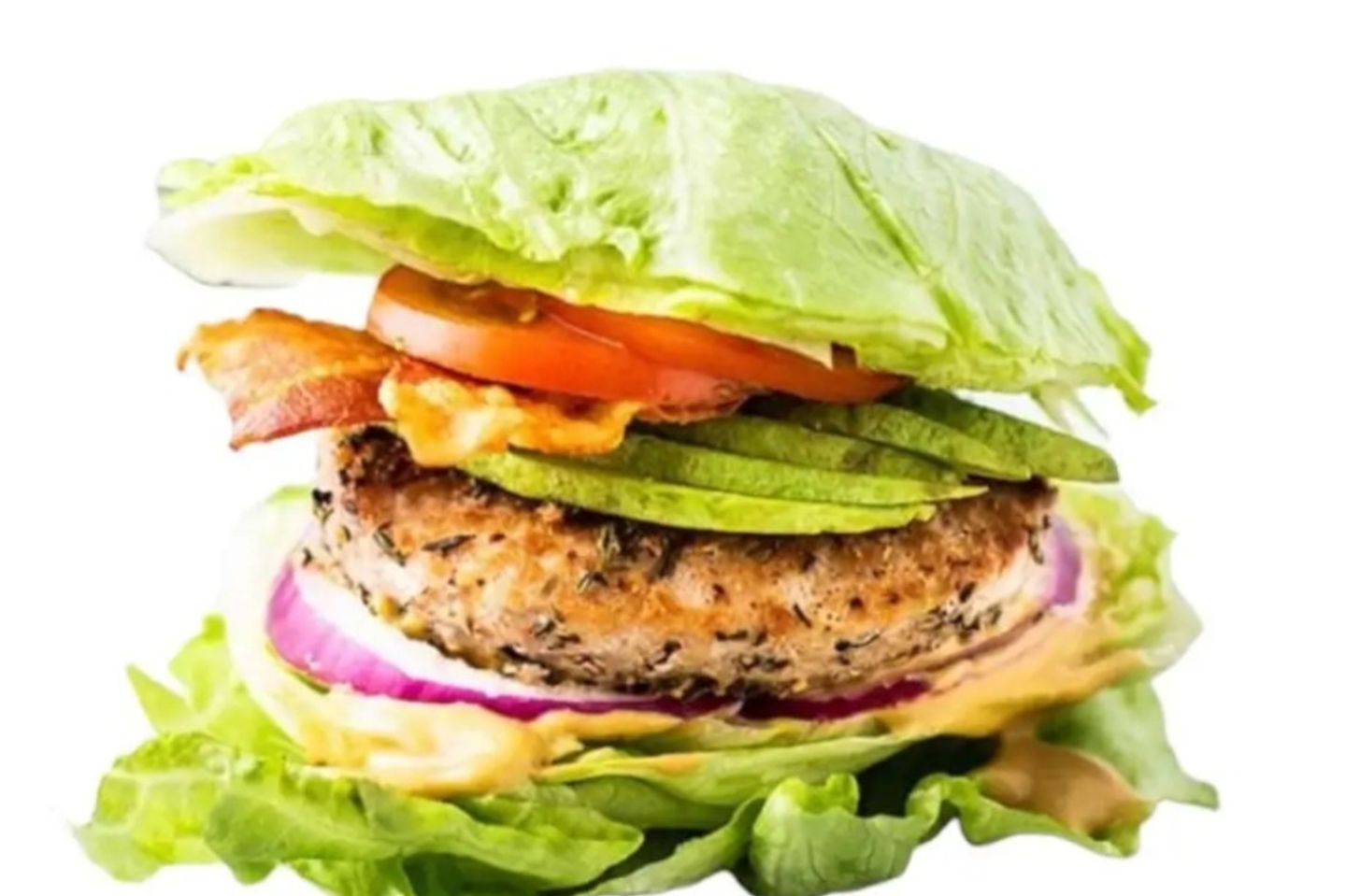 دجاج بروتين هوليكو - Protein Chicken