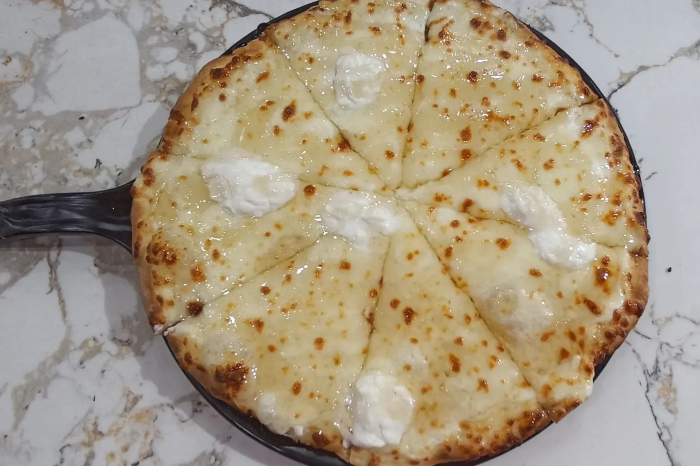 Ash Albulbul - Small