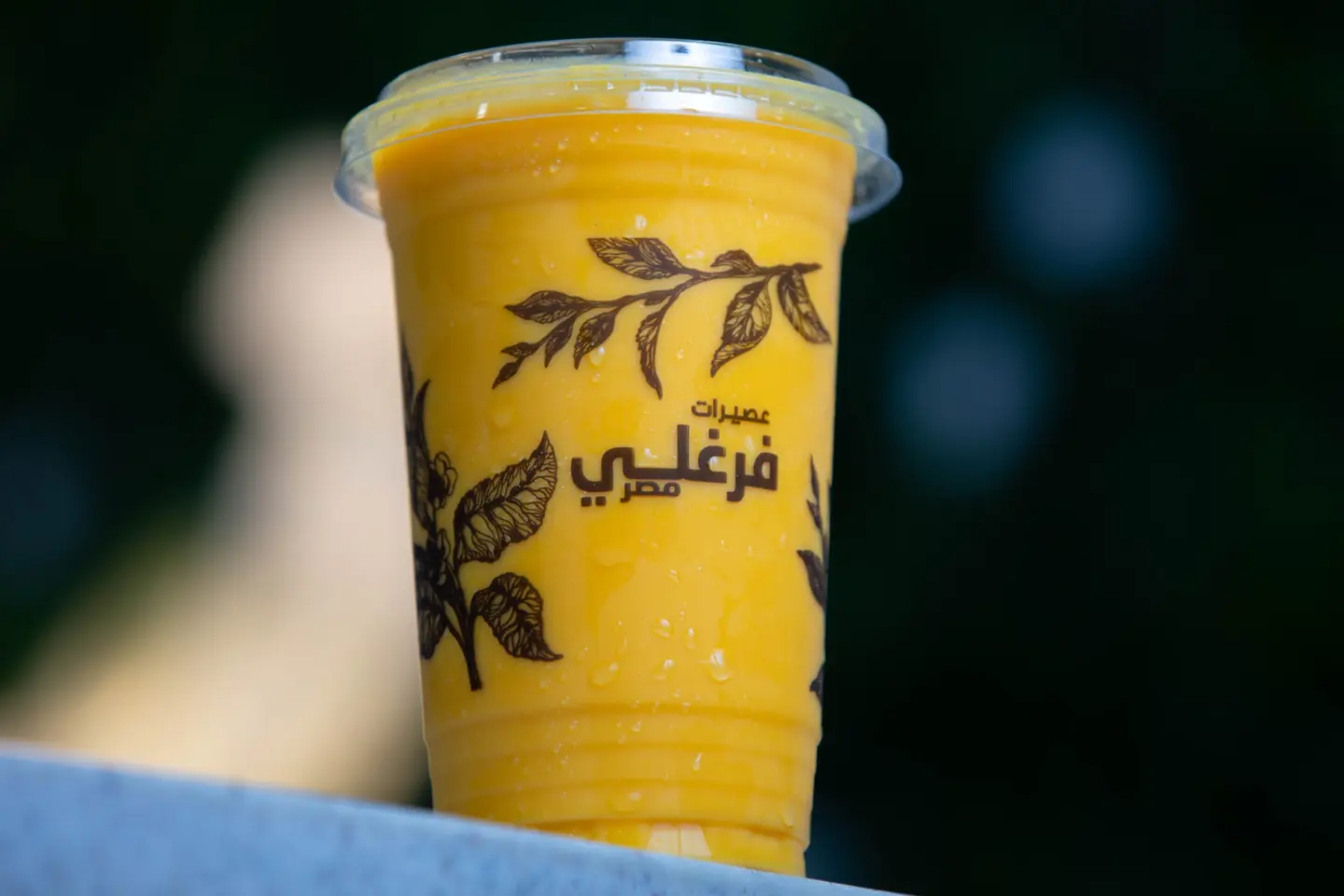 فرنسي - صغير