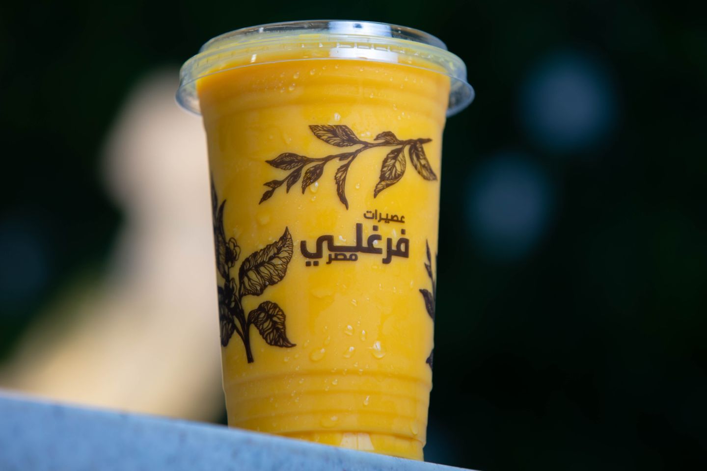 فرنسي - صغير