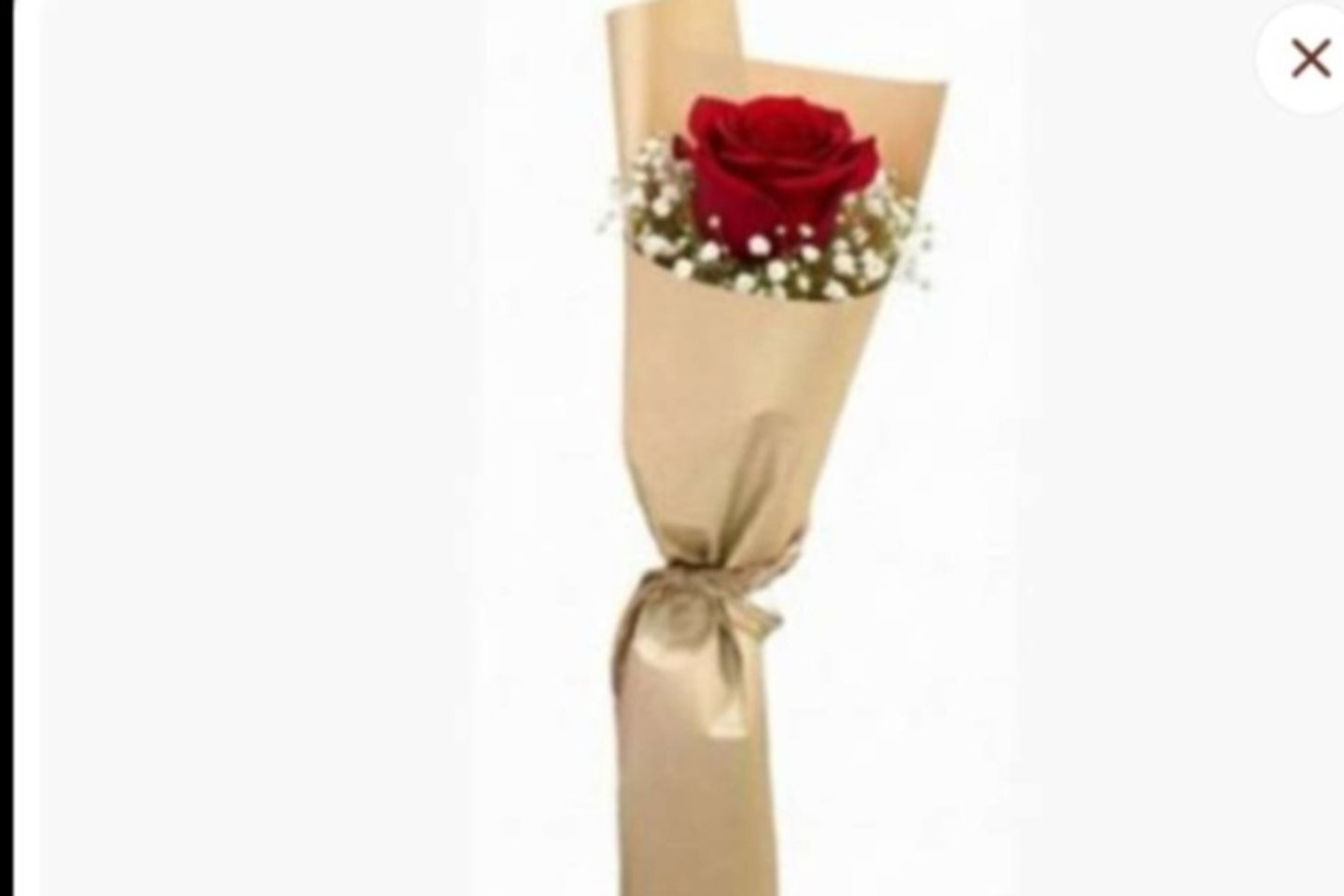 وردة واحده مع البراعم بلفه بيج - ورده واحده موف مع البراعم بلفه بيج