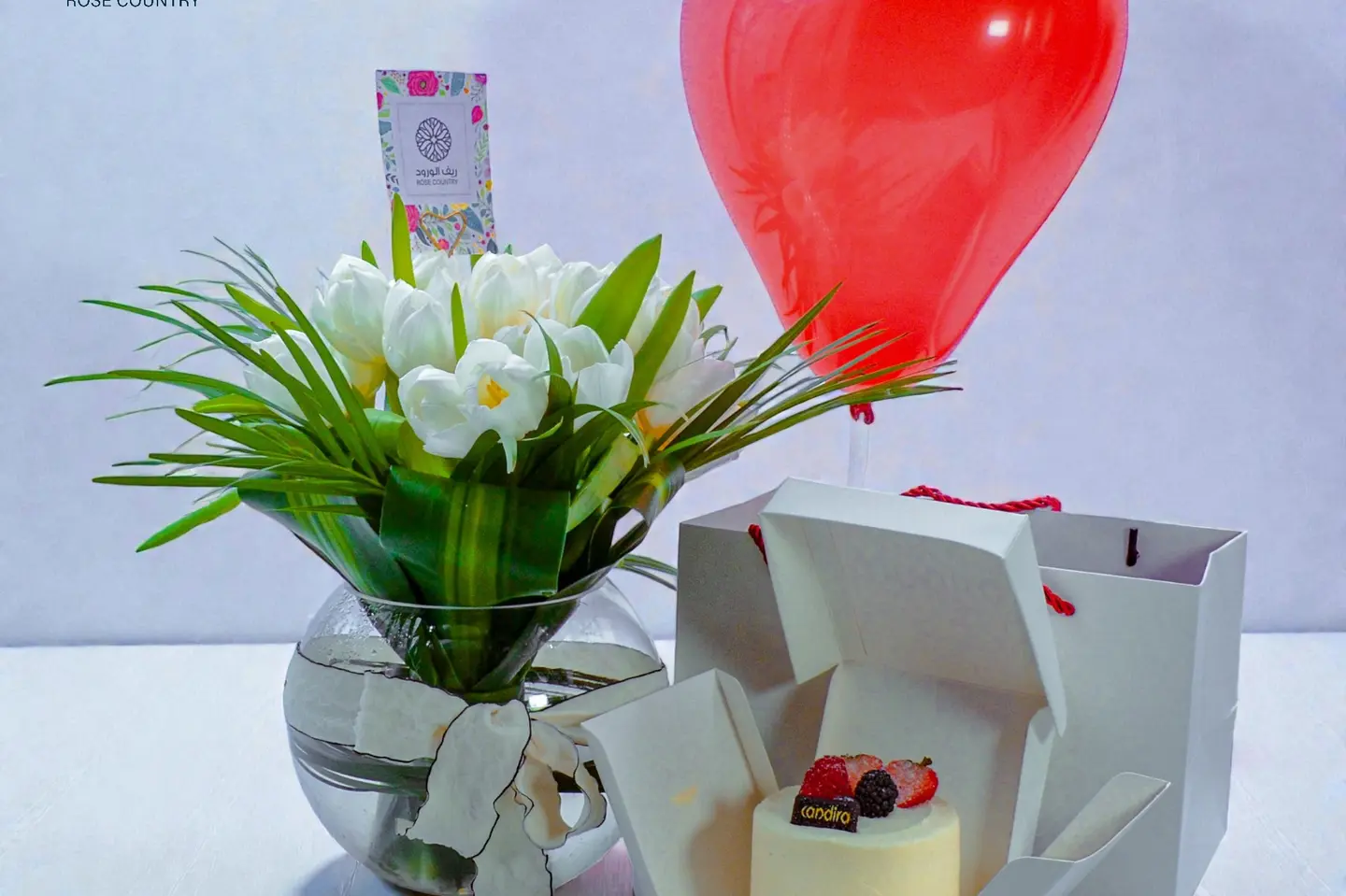 فازة توليب تريت - شوكليت كيك