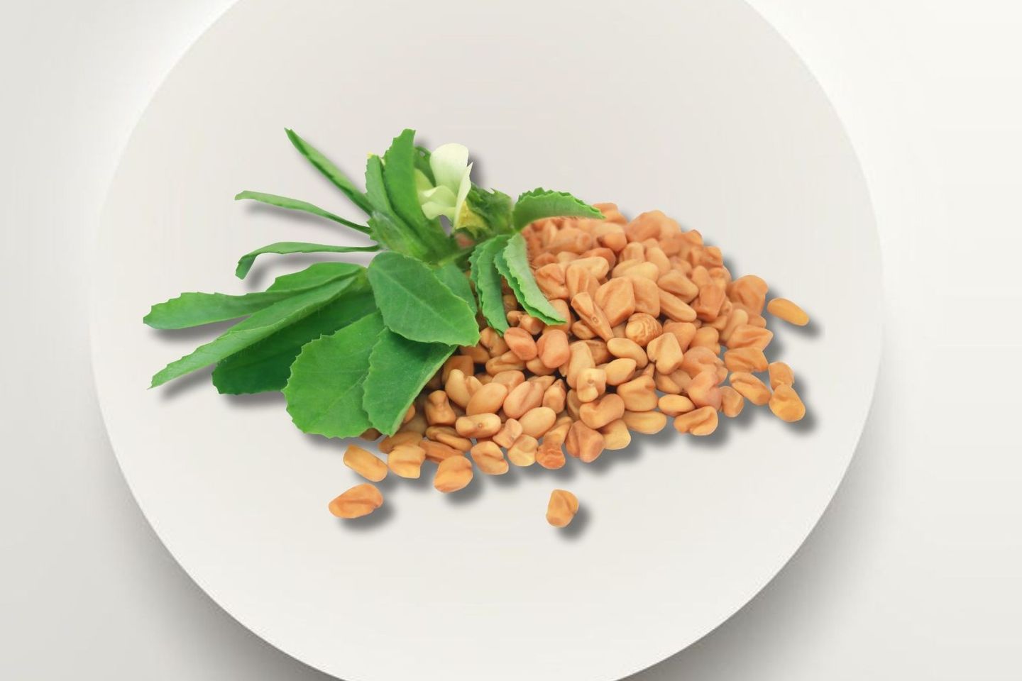 Indian Fenugreek Seeds 250g - 1kg