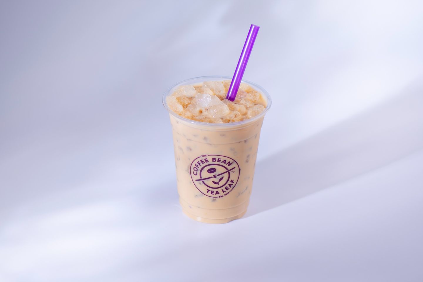 Iced Latte - Small