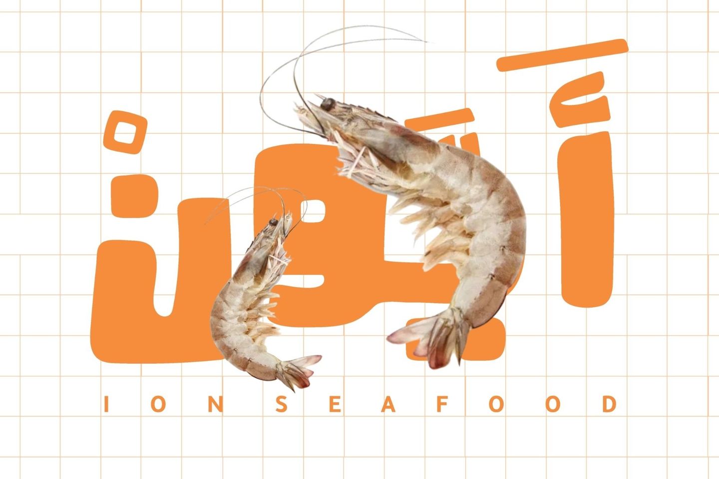 Shrimp - Medium