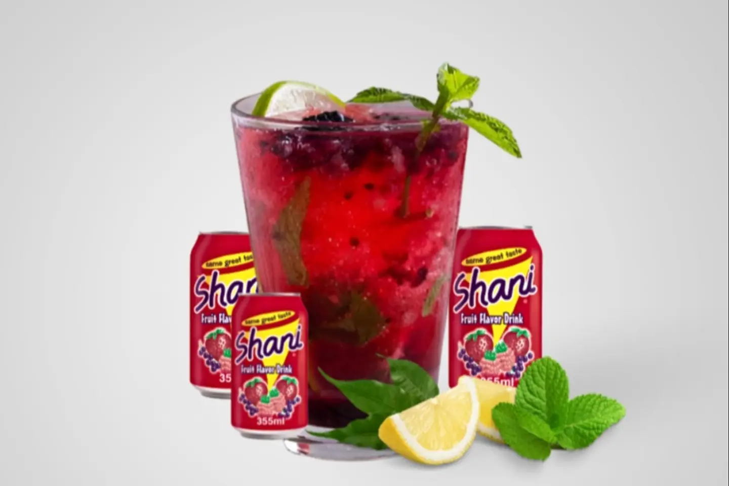 Shani Mojito - Blueberry