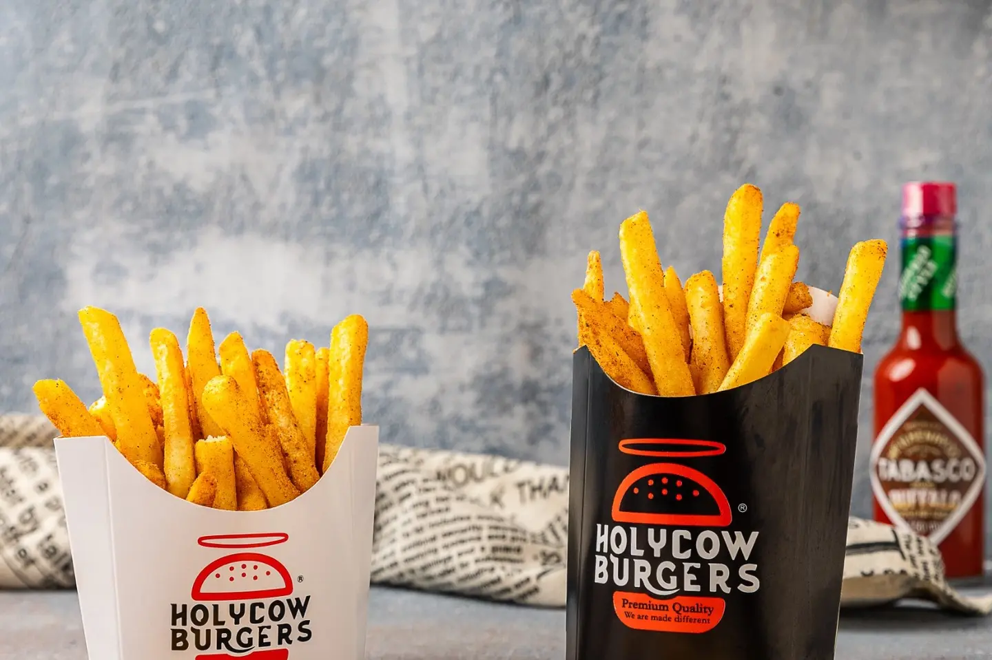 Seasoned Fries  - Large