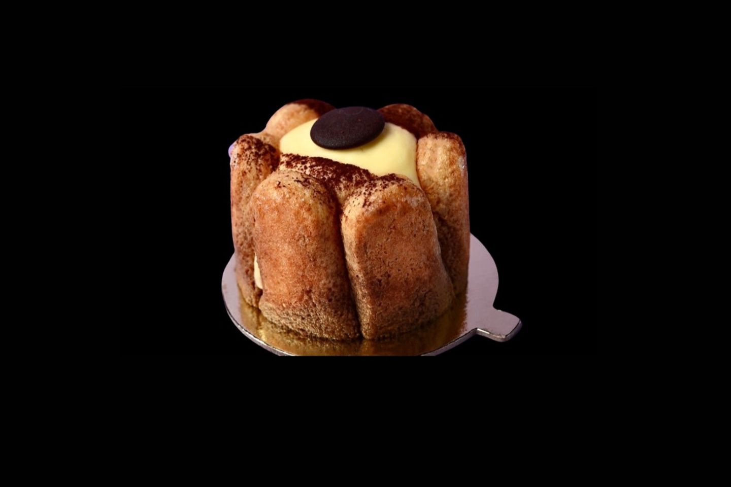 Tiramisu  - Medium   Large