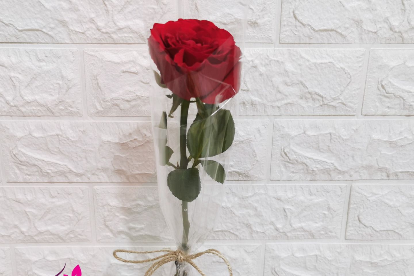 Wrapped Roses - Dark Pink