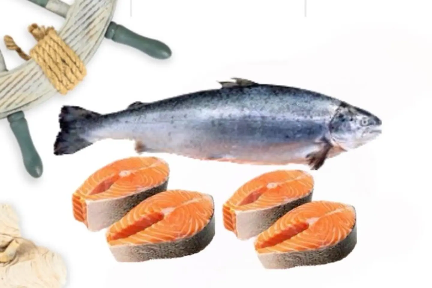 Salmon - Kilo Fried