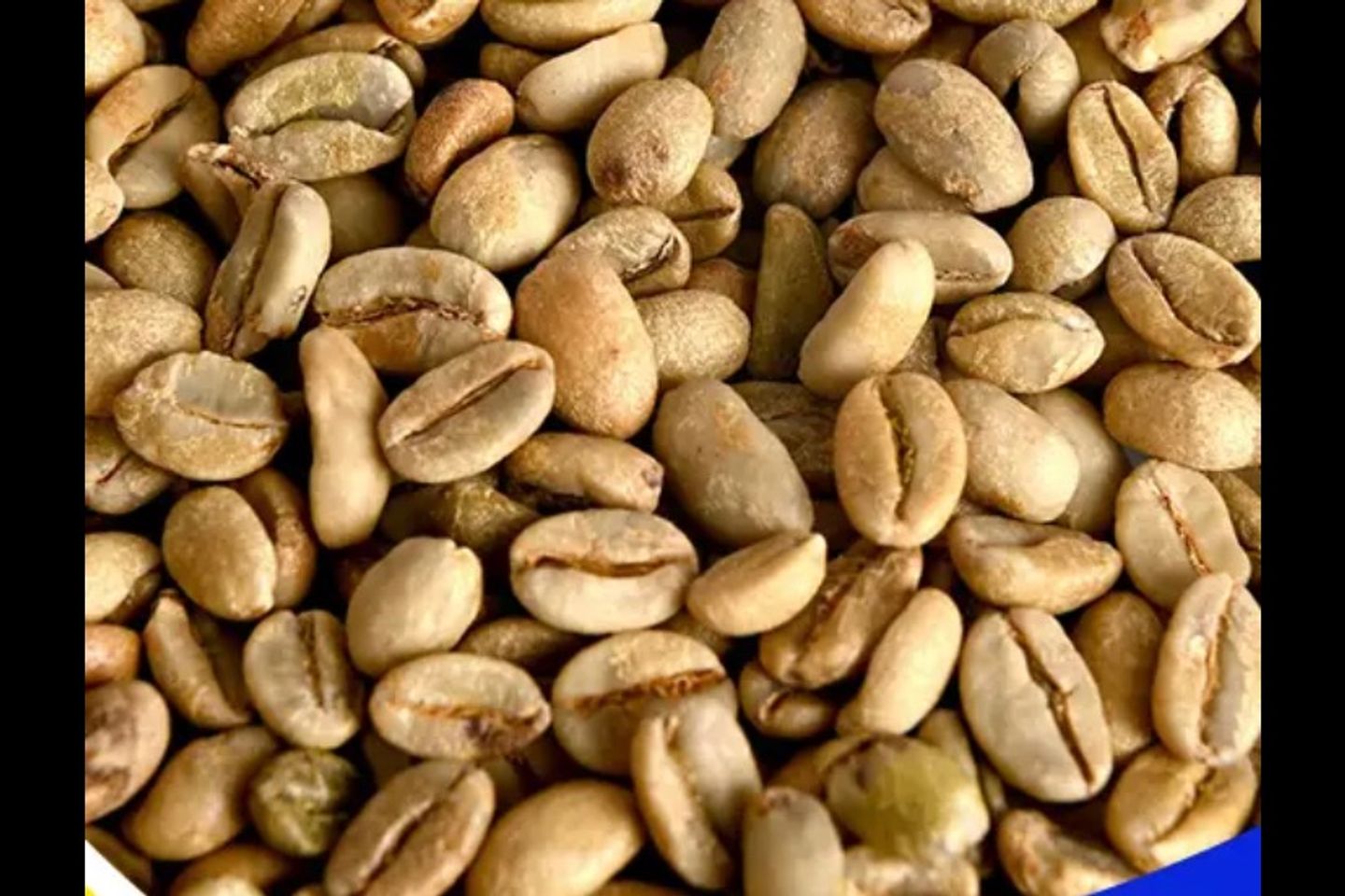 قهوة سعودية - كوب