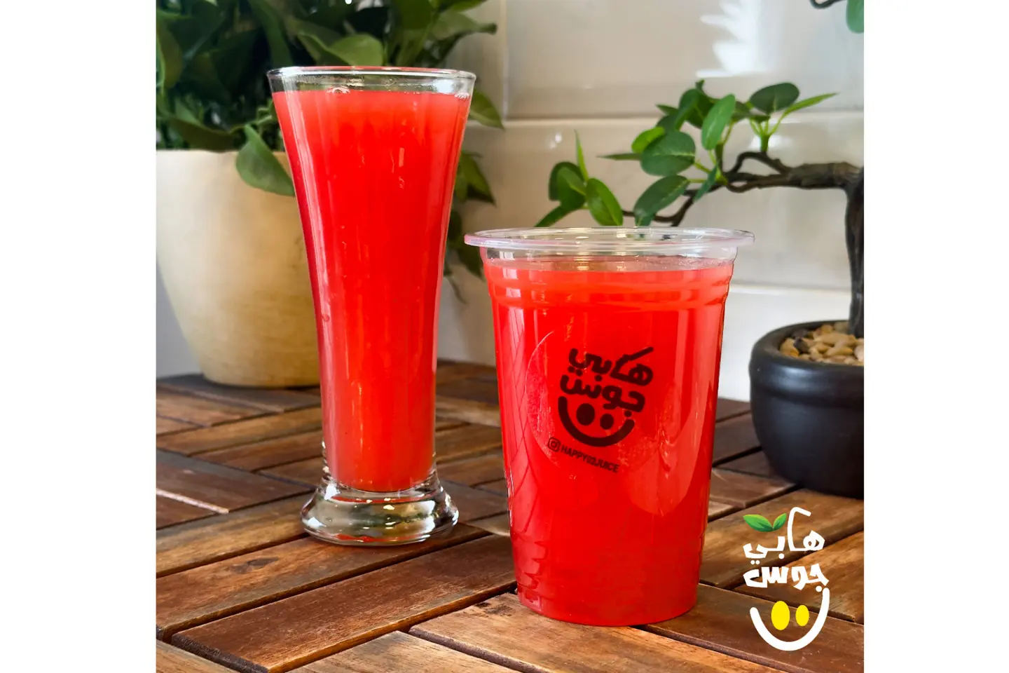 Watermelon - Medium
