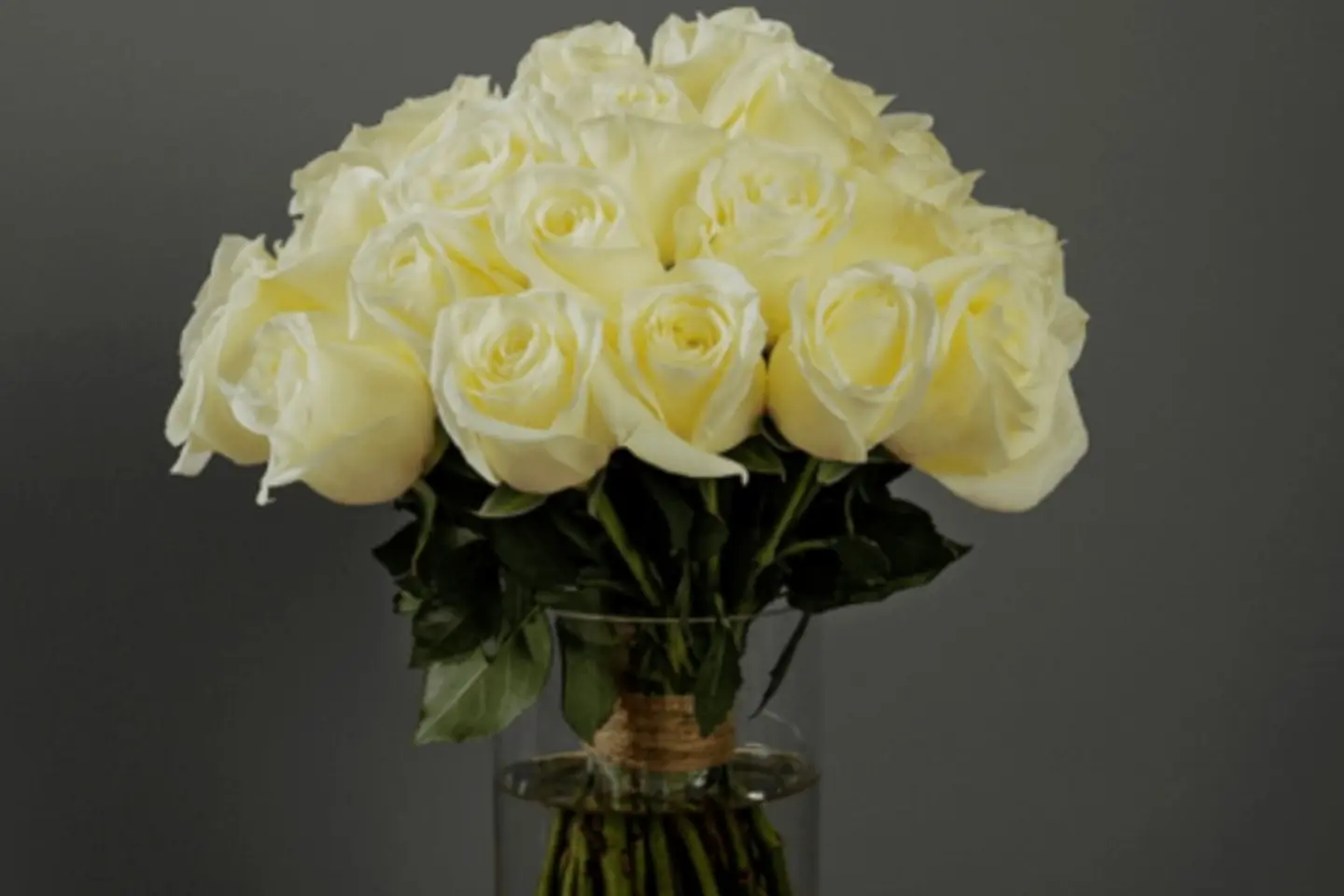 فازة صباح الخير - لون الورد احمر