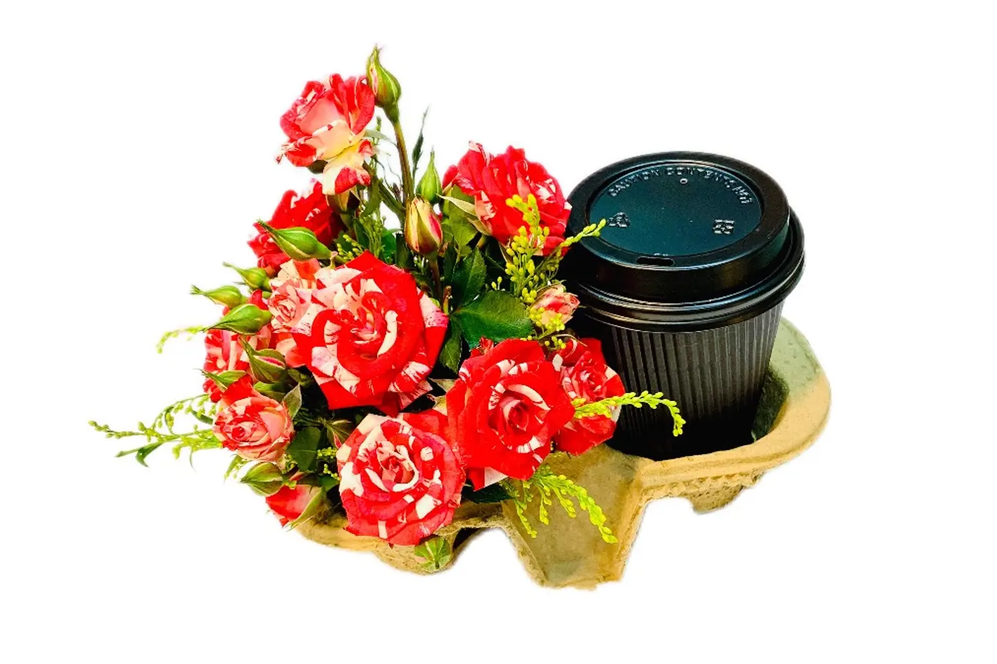 باقة القهوة - اللون الأبيض