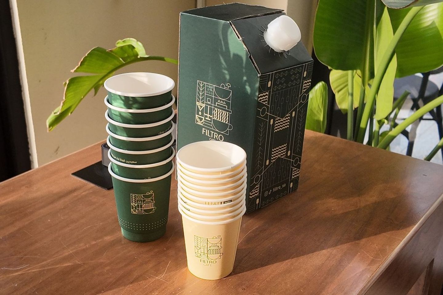 Frozen Filtro Box - 10 Cups 150 Ml​