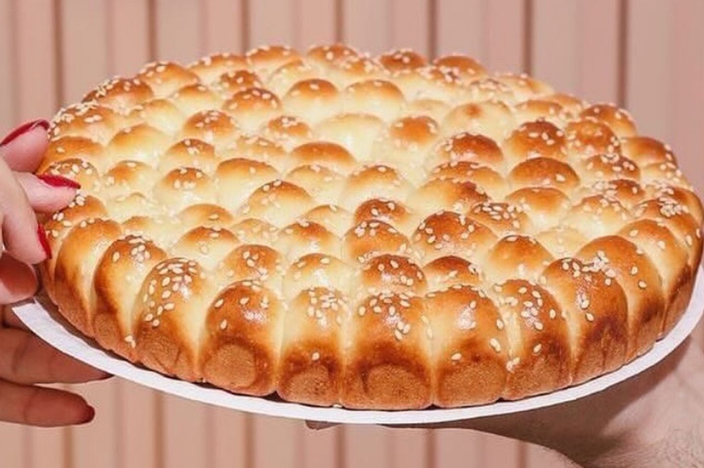 خلية نحل بالنستلة - كبير